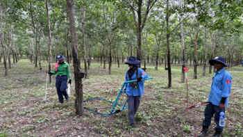 HALO staff stand in a forest with two mine warning signs behind them