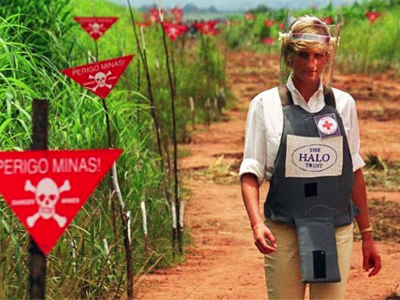 Link to The Princess and the Minefield