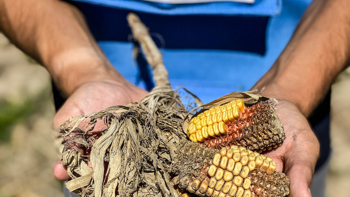 FMC Corporation supports HALO in Ukraine