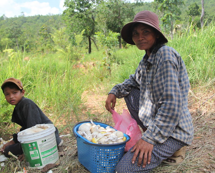 Link to More on our work in Cambodia