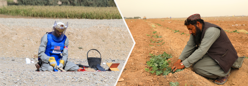 HALO deminer and beneficiary