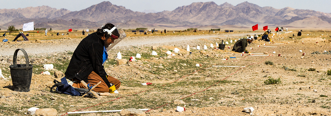 HALO Trust deminer in protective gear, carefully searching for landmines in a rural Afghan landscape