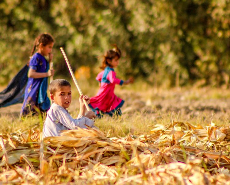 A group of three children play in a field in Afghanistan