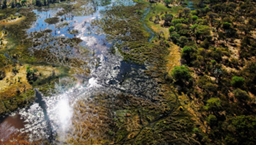 The landscape and waters of the Okavango river delta