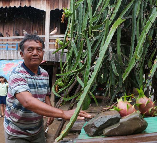 Pork Chei, a father and farmer in Cambodia poses with his crops in Cambodia