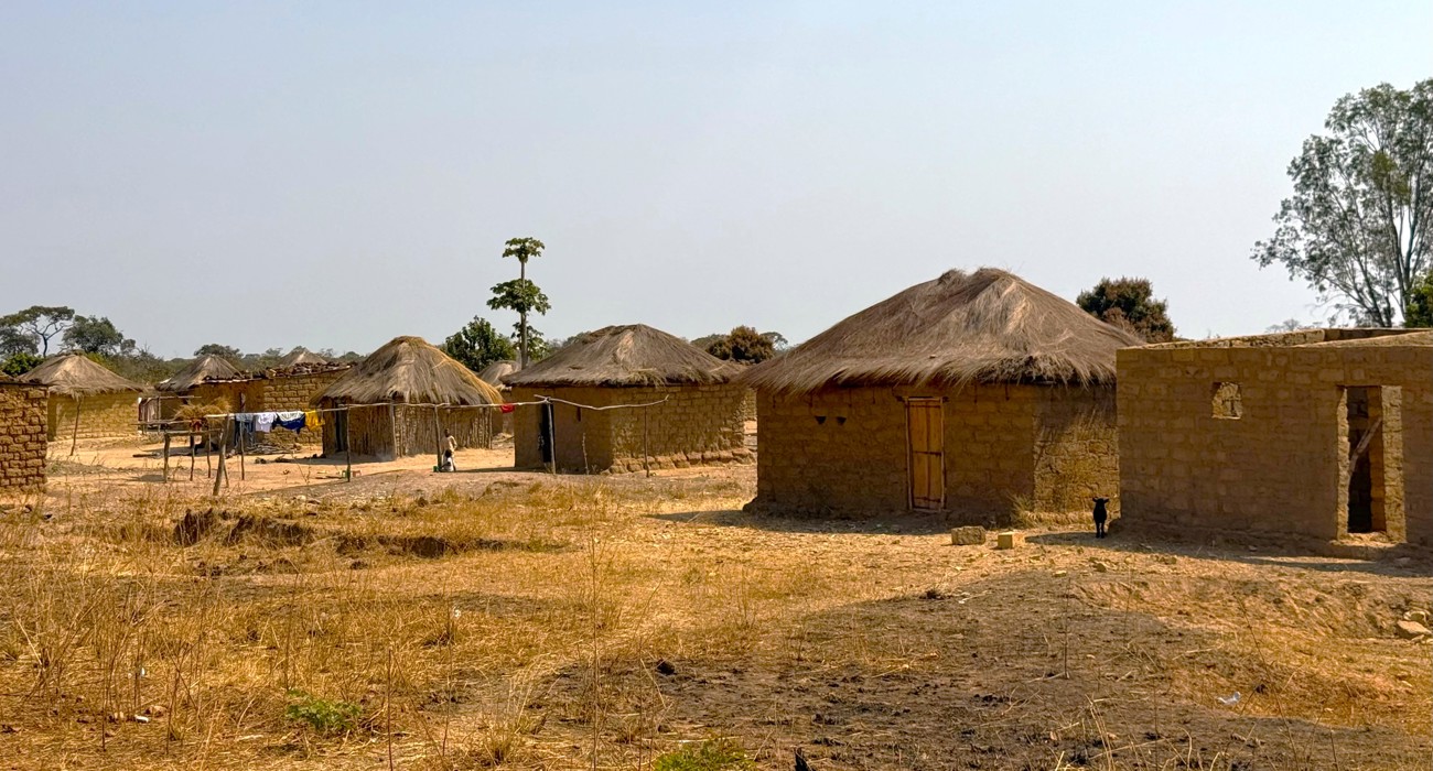 A row of houses in a field.