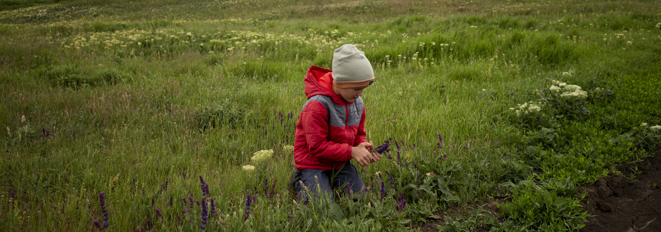 A little boy in a red jacket picks flowers in a field.
