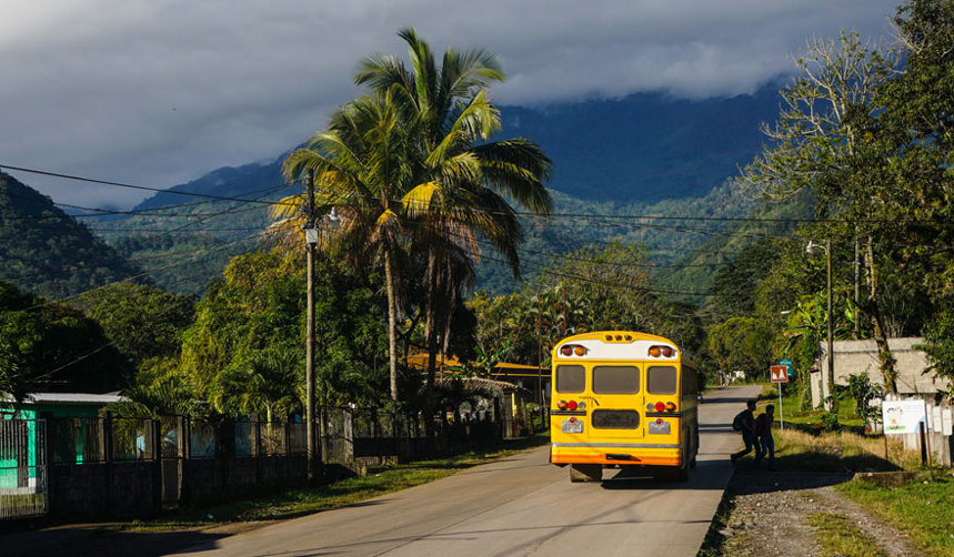 A bus drives down a road with palm trees on the side walk