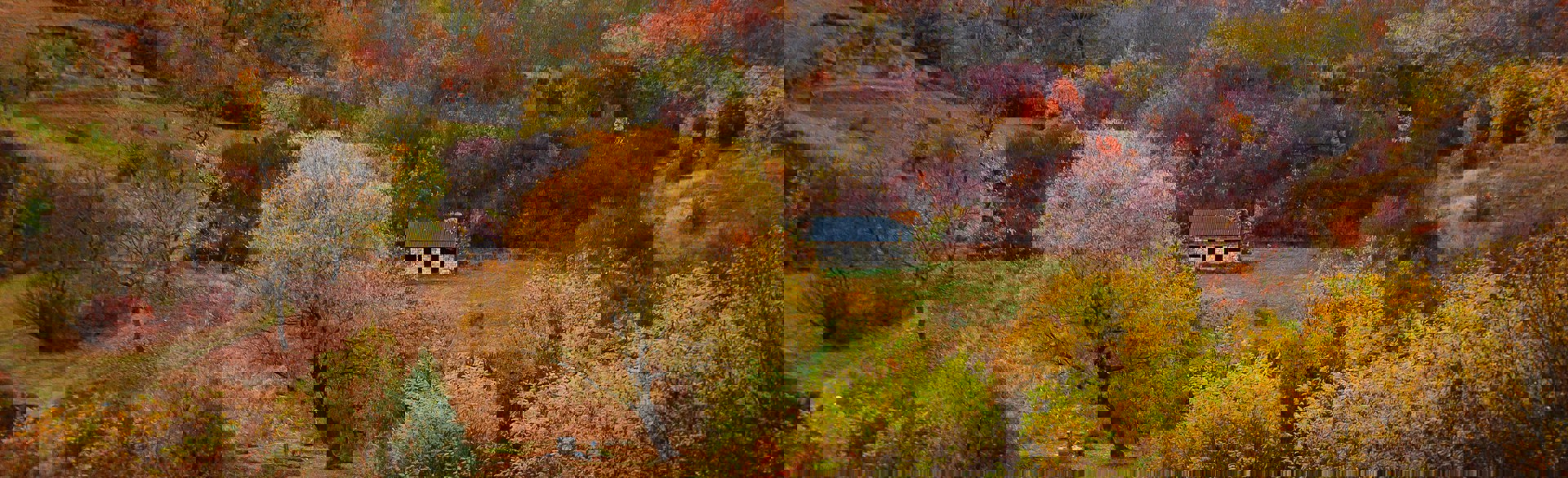 Autumnal trees in the Moldovan countryside