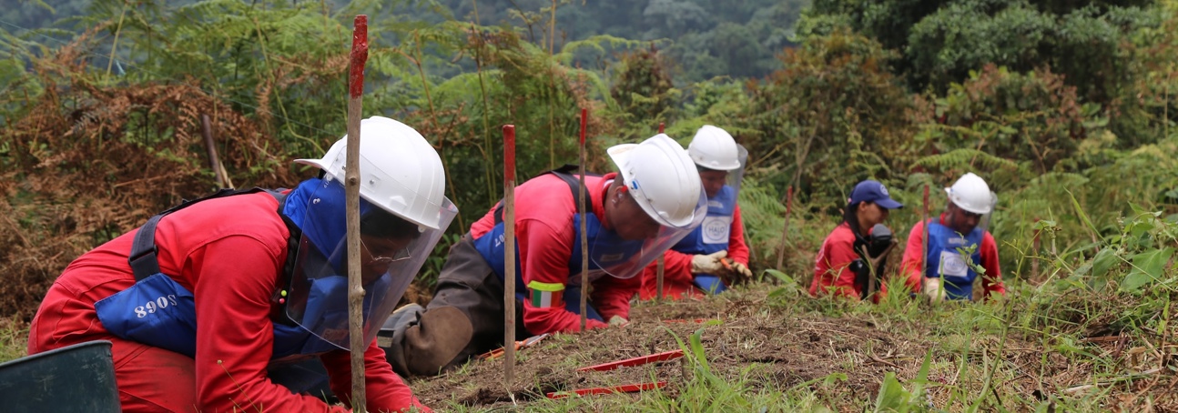 A group of deminers wearing PPE carry out demining activities around marked mines