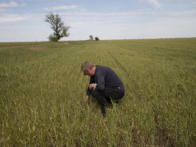 Link to Ukraine: One Farmer’s 3-Year Journey Back to his Fields