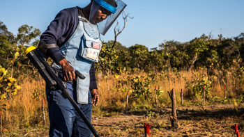 A male deminer uses a metal detector in a rural field