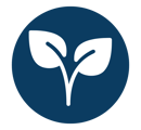 Icon of a leaf plant