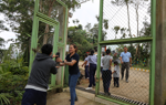 People hand potted tree seedlings down a line, with the line going through a tall green wire gate.