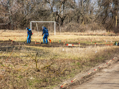Link to From Playfield to Minefield