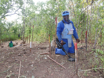 Link to House Budget Includes $271 million for humanitarian demining