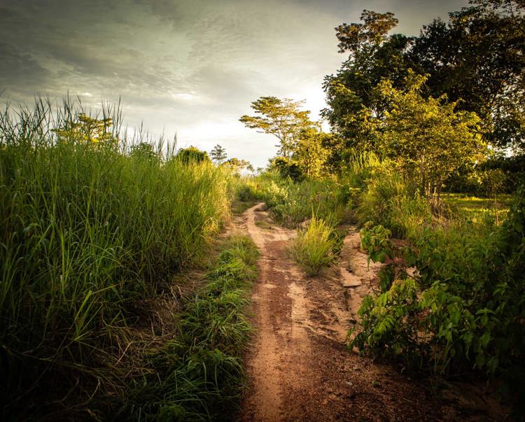 Link to More on this Cambodia project