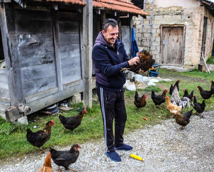 Man feeding chickens
