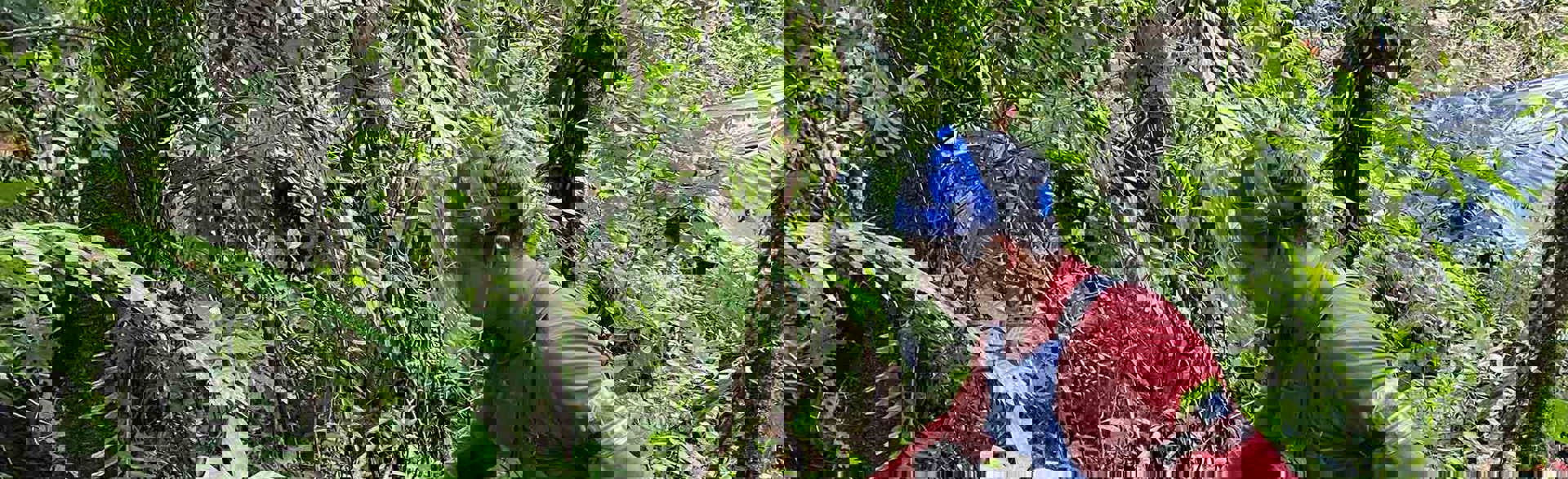 A deminer uses a detector on the side of a hill in a jungle