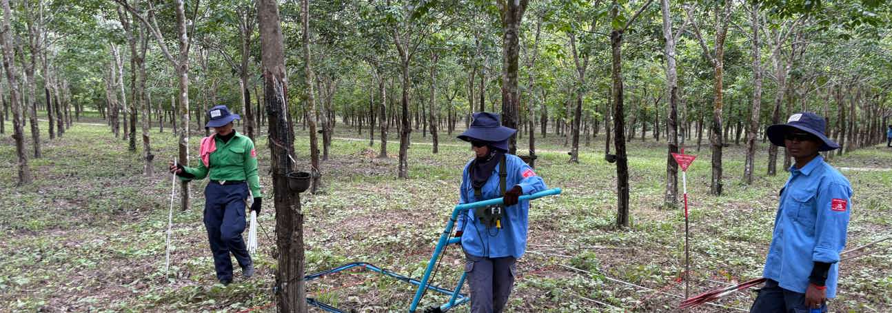 HALO staff stand in a forest with two mine warning signs behind them