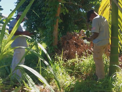 Link to House Appropriations Committee increases funding for humanitarian demining