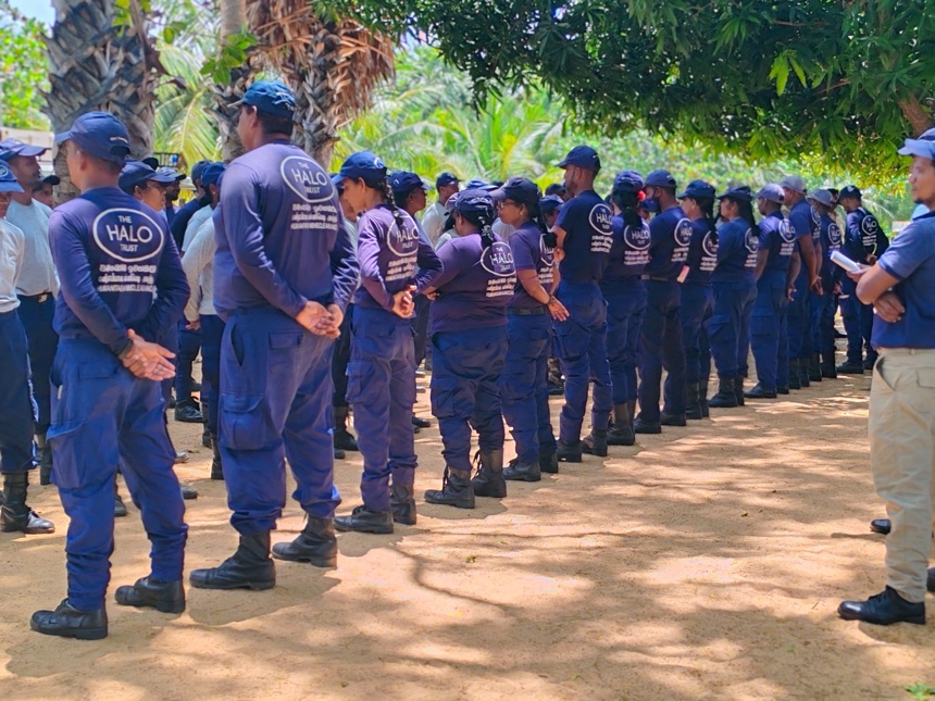A row of HALO deminers standing.