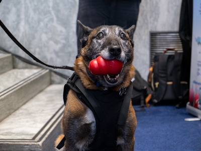Link to UXO/Demining Caucus celebrates Mine Awareness Day 2026
