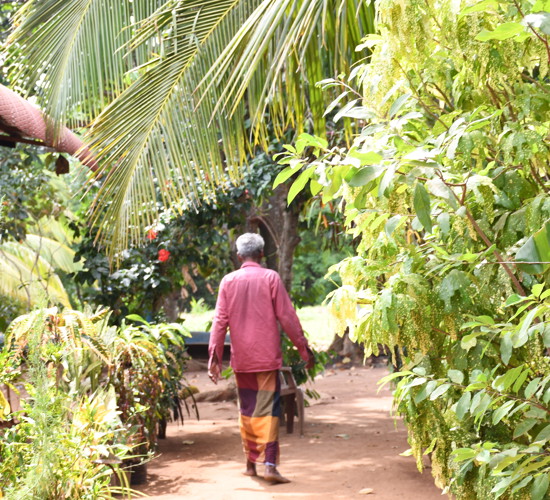 A man walks away from the camera on a path surrounded by trees.