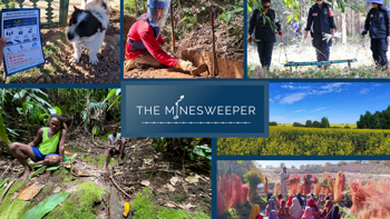 June 2025 Minesweeper: Stories of Resilience and Change