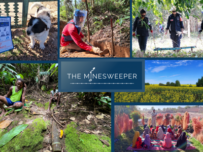 Link to The Minesweeper: From Rubble to Renewal