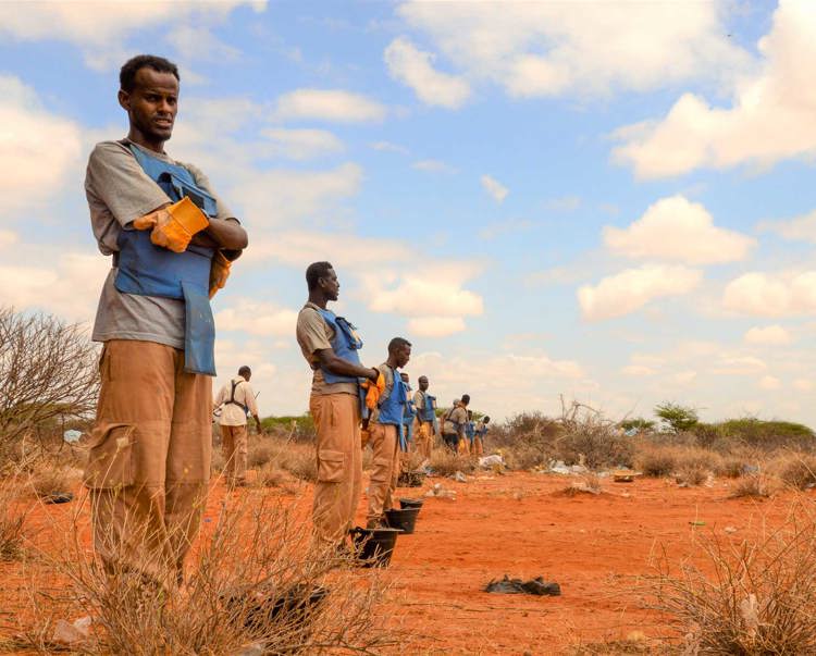 HALO Deminers in the field in Somalia