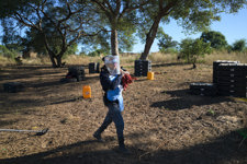 A deminer wears a visor and blue PPE in a minefield in Angola