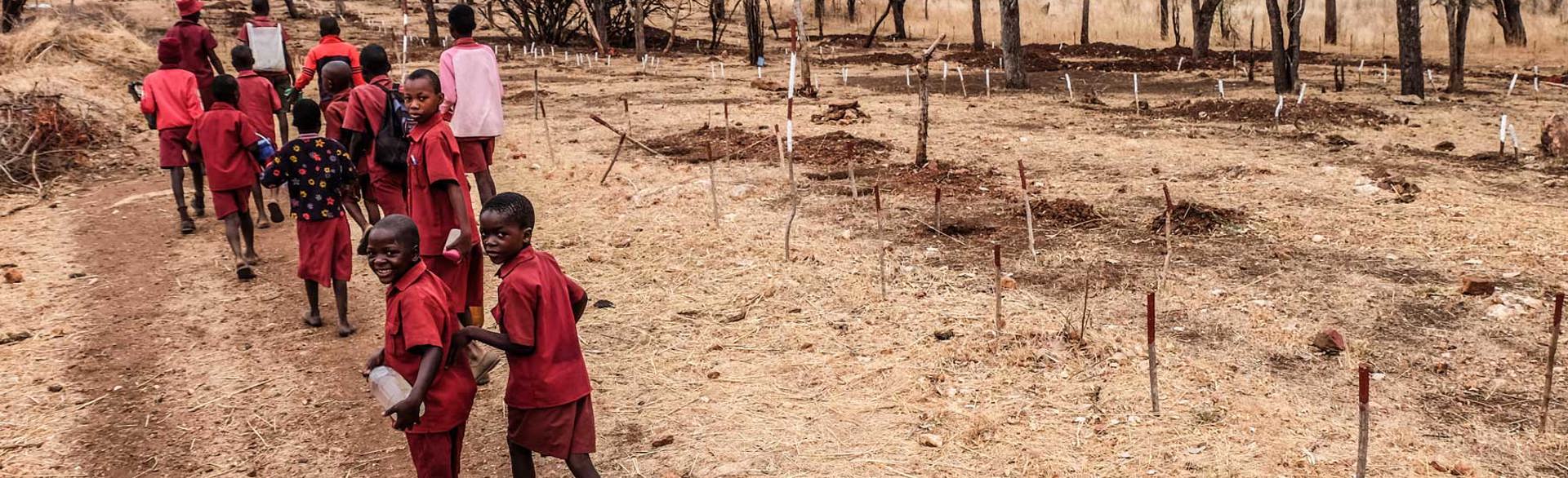 Children walk to school between minefields in Zimbabwe