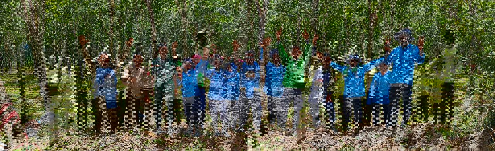 HALO staff raise their hands in celebration around a soil pit in the forest