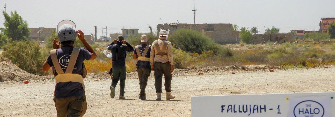 A team of deminers walk into a confirmed hazardous area in Fallujah, Libya