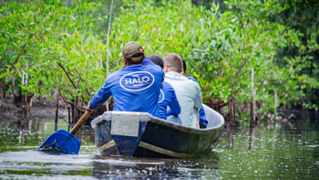 World Environment Day: Three stories of restoring nature and revitalizing communities