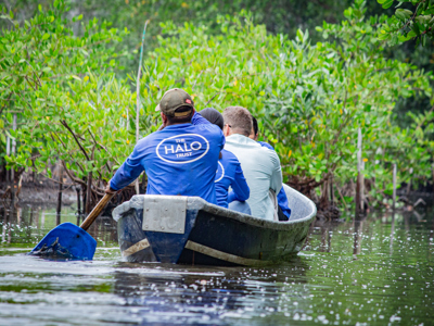 Link to World Environment Day: Three stories of restoring nature and revitalizing communities