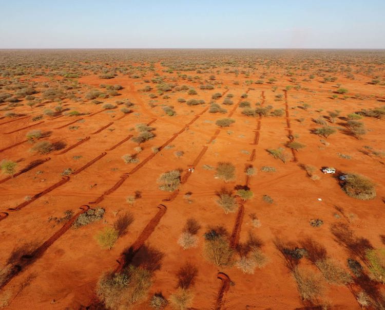 Link to More on this Horn of Africa project