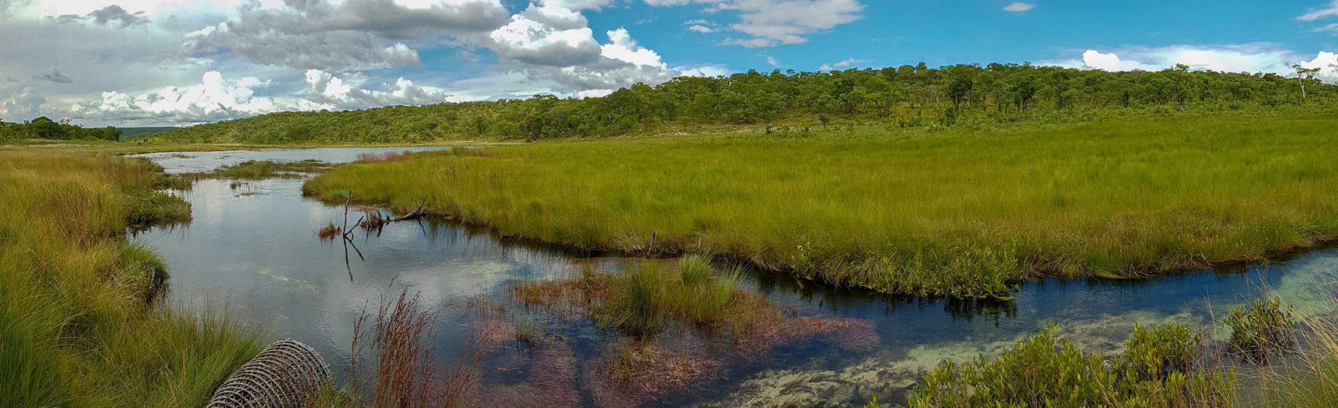The landscape of the Okavango River, with clear water cutting through the green hills