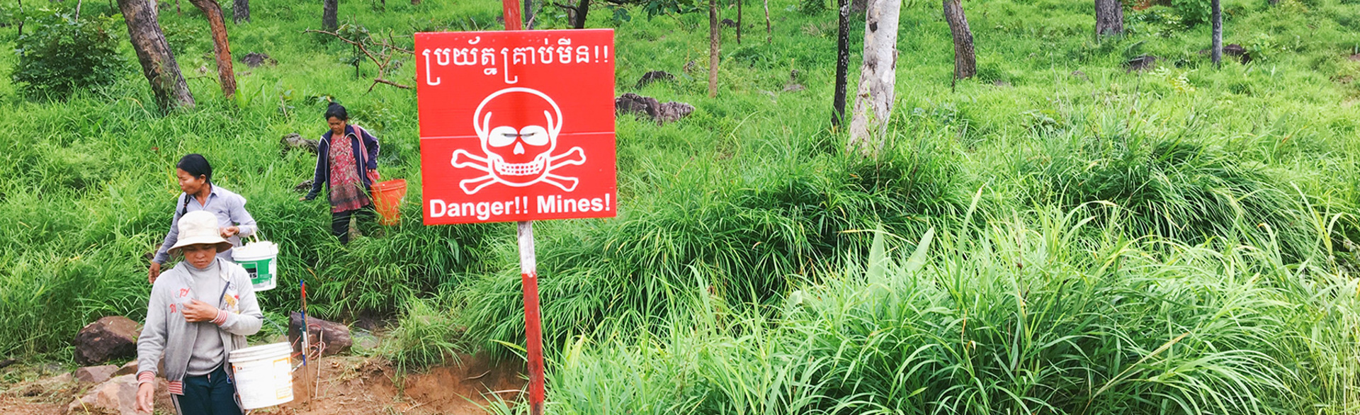 Women forage for mushrooms in dense grass behind a danger mines sign and sticks fencing off contamination